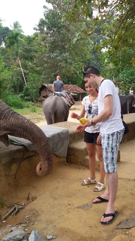 Suwani Pinnawala Homestay Exteriör bild