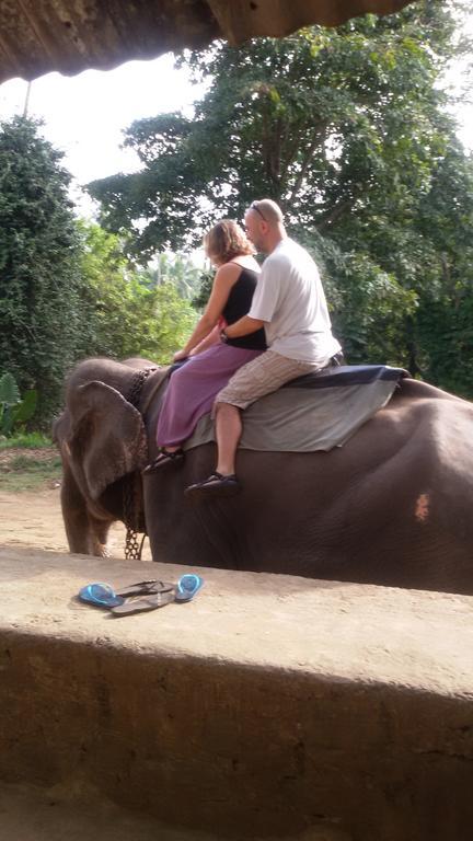 Suwani Pinnawala Homestay Exteriör bild