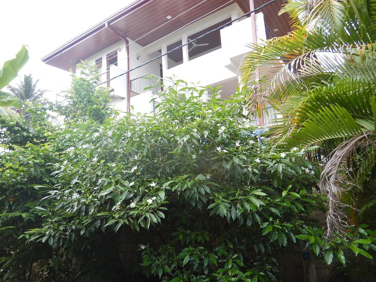 Suwani Pinnawala Homestay Exteriör bild