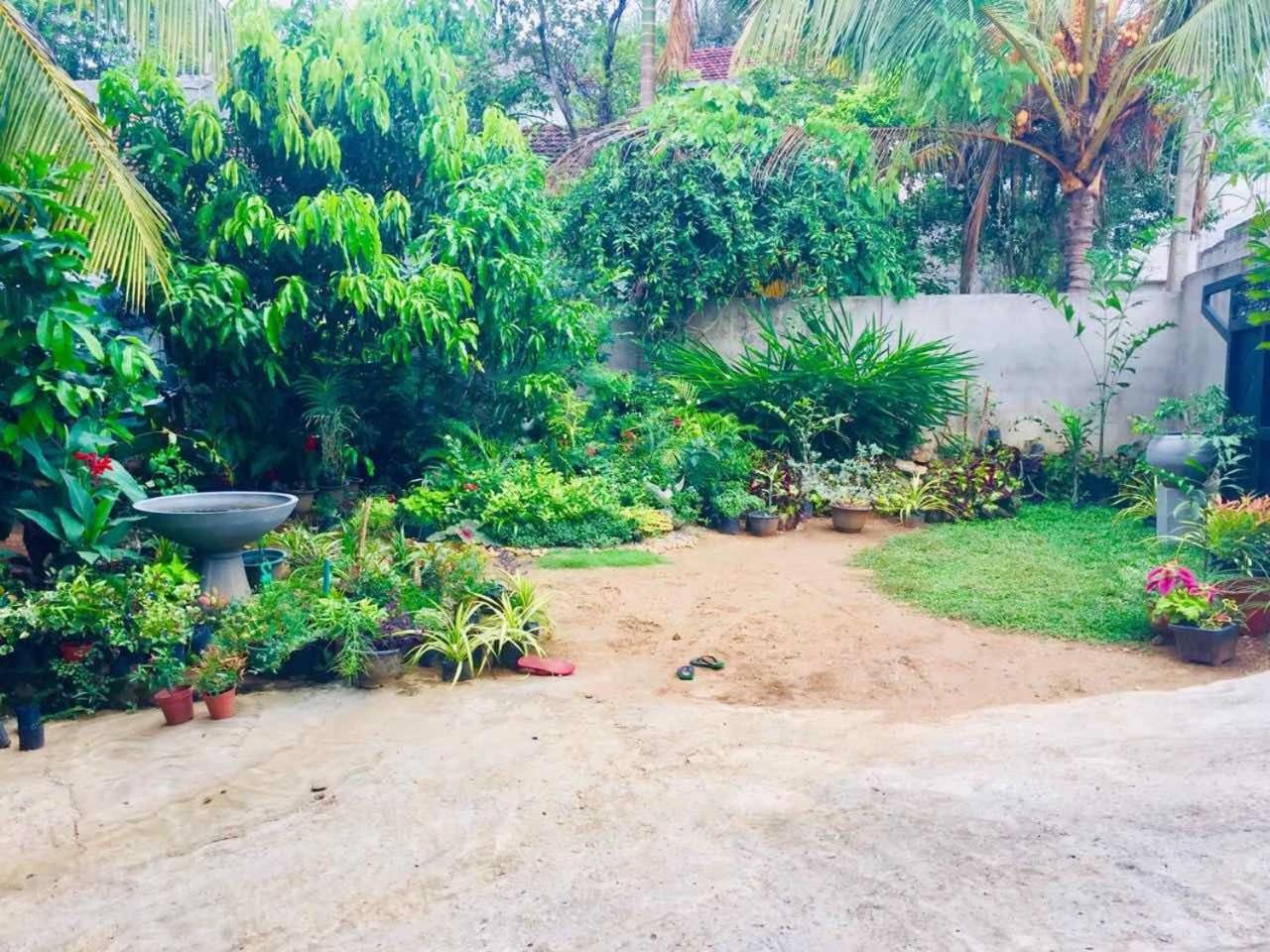 Suwani Pinnawala Homestay Exteriör bild